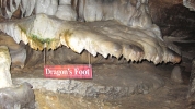 PICTURES/Ruby Falls - Chattanooga/t_Dragons Foot2.jpg